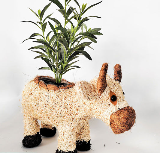 Husk cow planter
