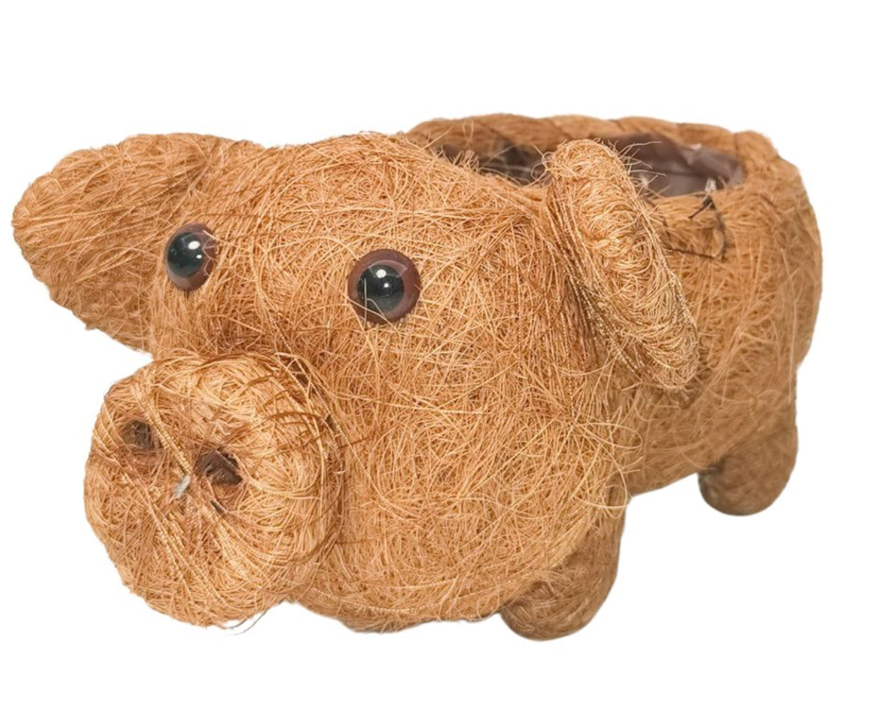 Husk pig planter