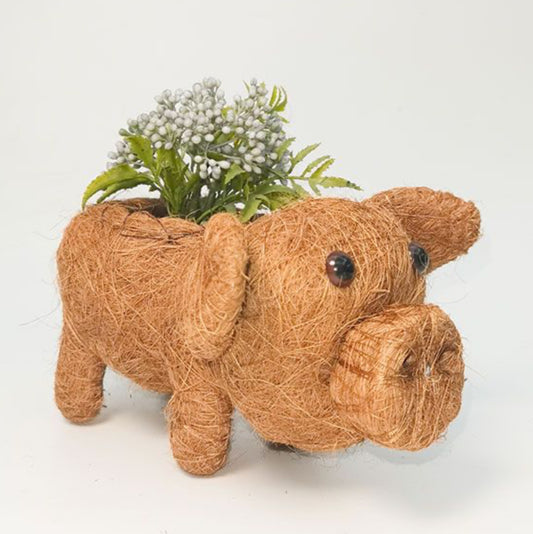 Husk pig planter